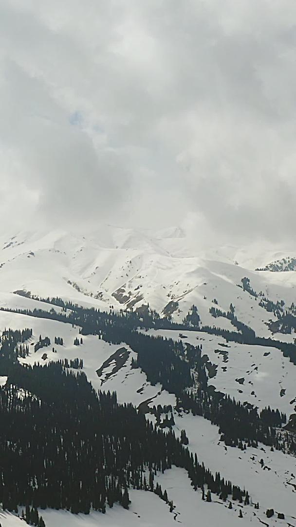 那拉提雪山冬天视频的预览图