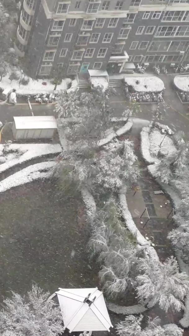 风雪延迟拍摄暴雪自然灾害加大视频的预览图