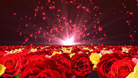 动态大气唯美红色光效粒子花朵花海背景视频元素视频的预览图