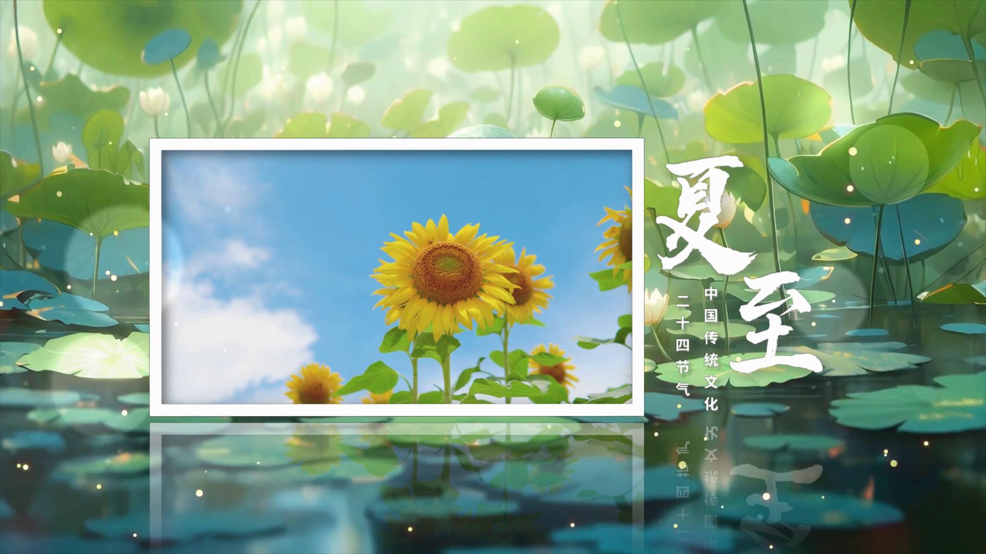夏至新鲜图文宣传展示视频的预览图