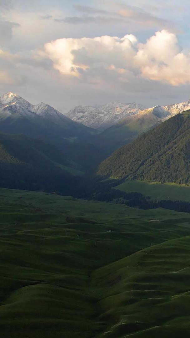 伊犁天山雪山高山草原自然风光视频视频的预览图