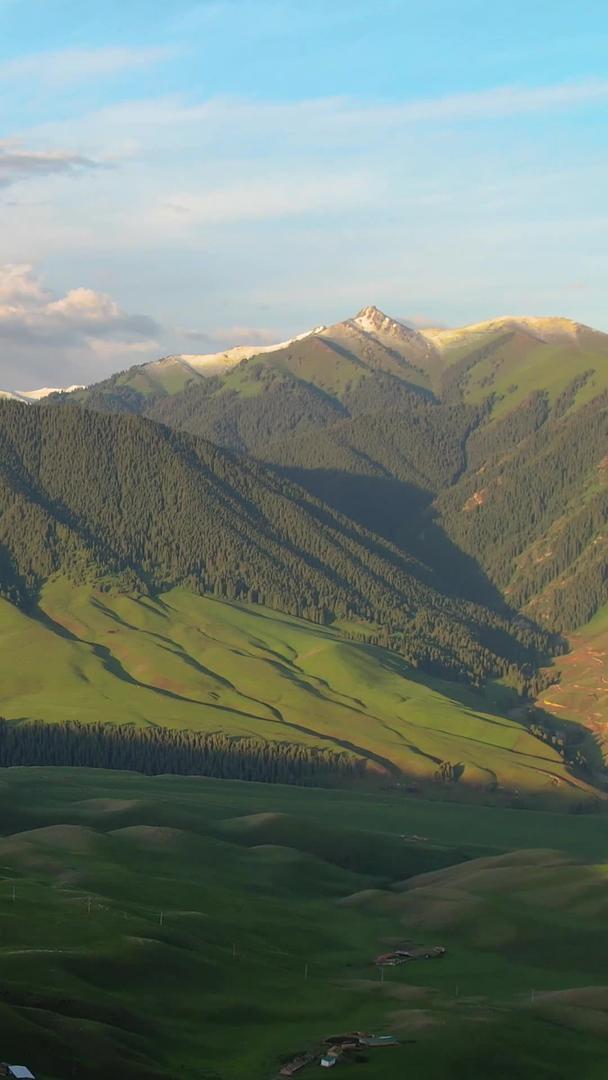伊犁天山雪山高山草原自然风光视频视频的预览图