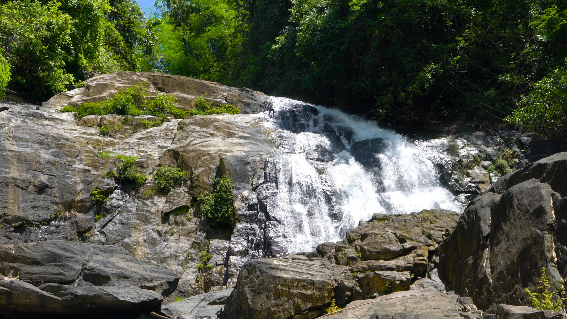 热带山林自然瀑布实拍合集4K含声音视频的预览图