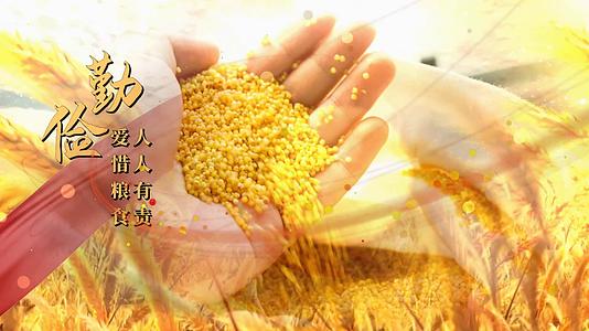 节约粮食绚丽稻田背景视频的预览图