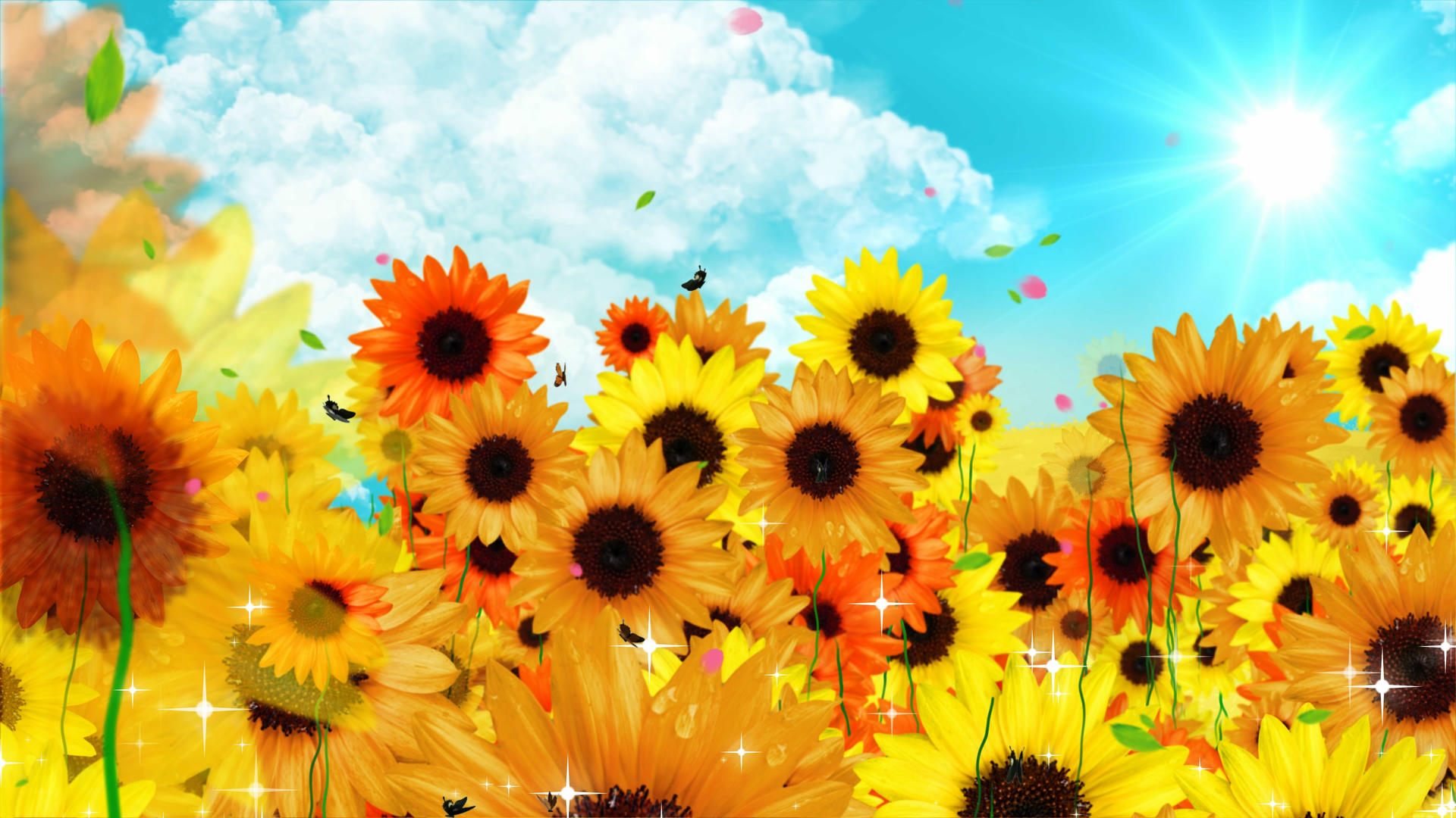 4K唯美的太阳花背景视频的预览图
