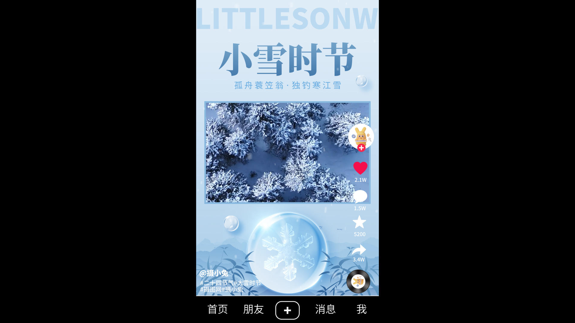 美丽的冬季小雪季节抖音宣传竖版海报视频的预览图