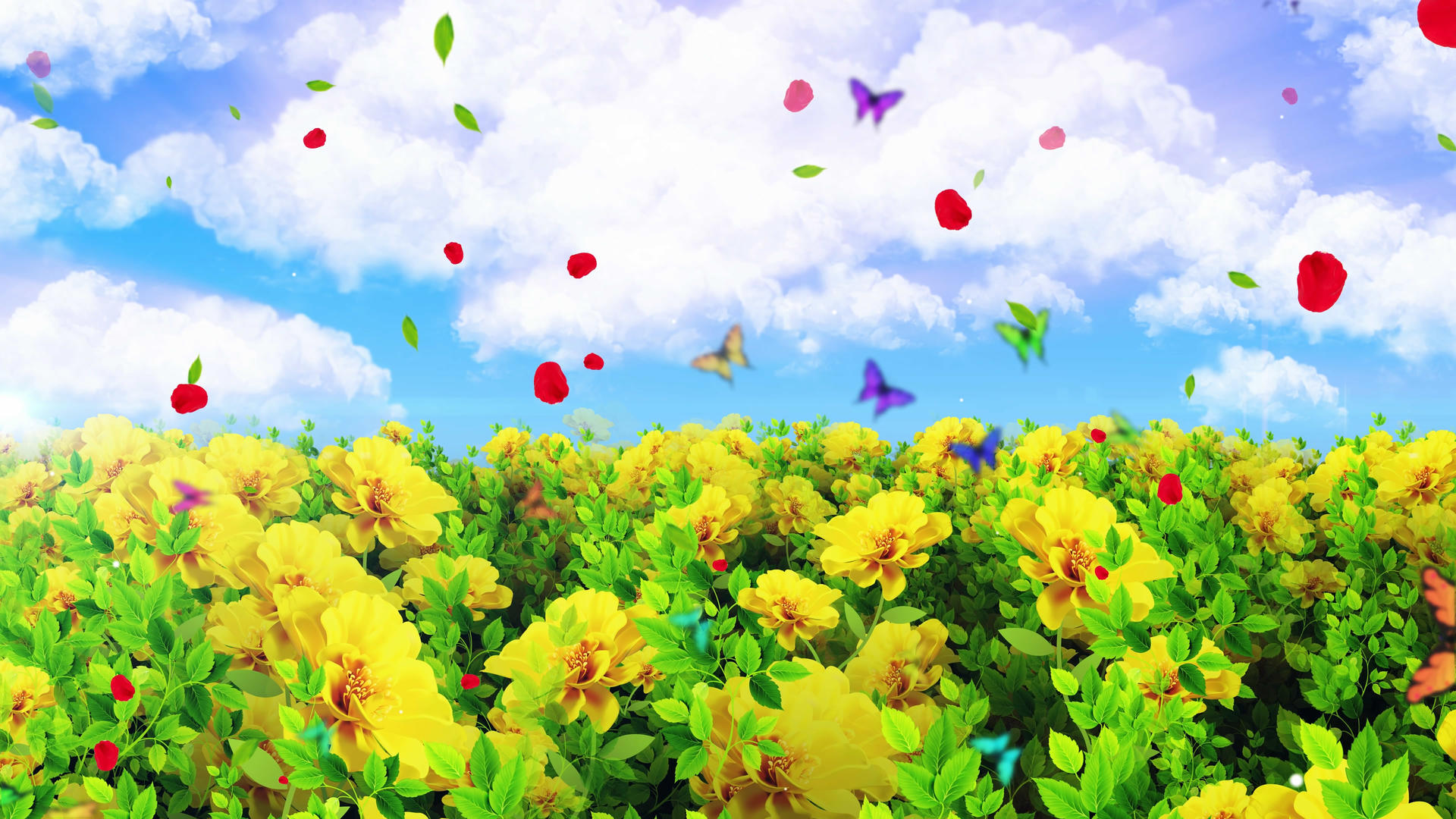 4K唯美的鲜花动画背景素材视频的预览图