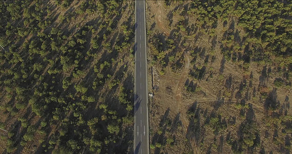 荒漠森林高速公路4k高清航拍视频的预览图