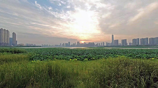 武汉沙湖日落风光4K高清延时视频视频的预览图