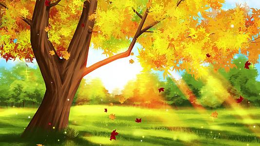 4K美丽的秋天枫叶背景视频视频视频的预览图