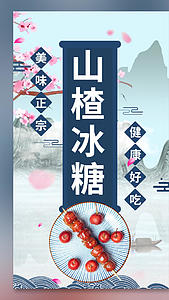 中国风糖葫芦促销视频海报视频的预览图