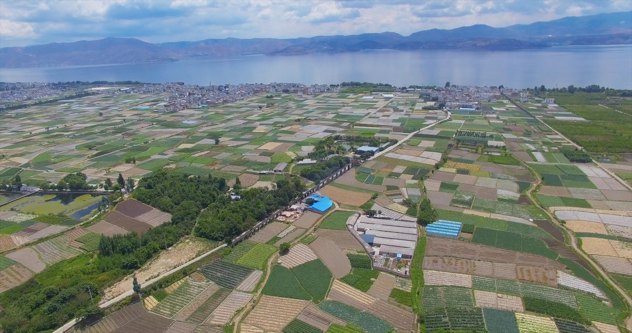 4k大理洱海农田农作物航拍视频的预览图