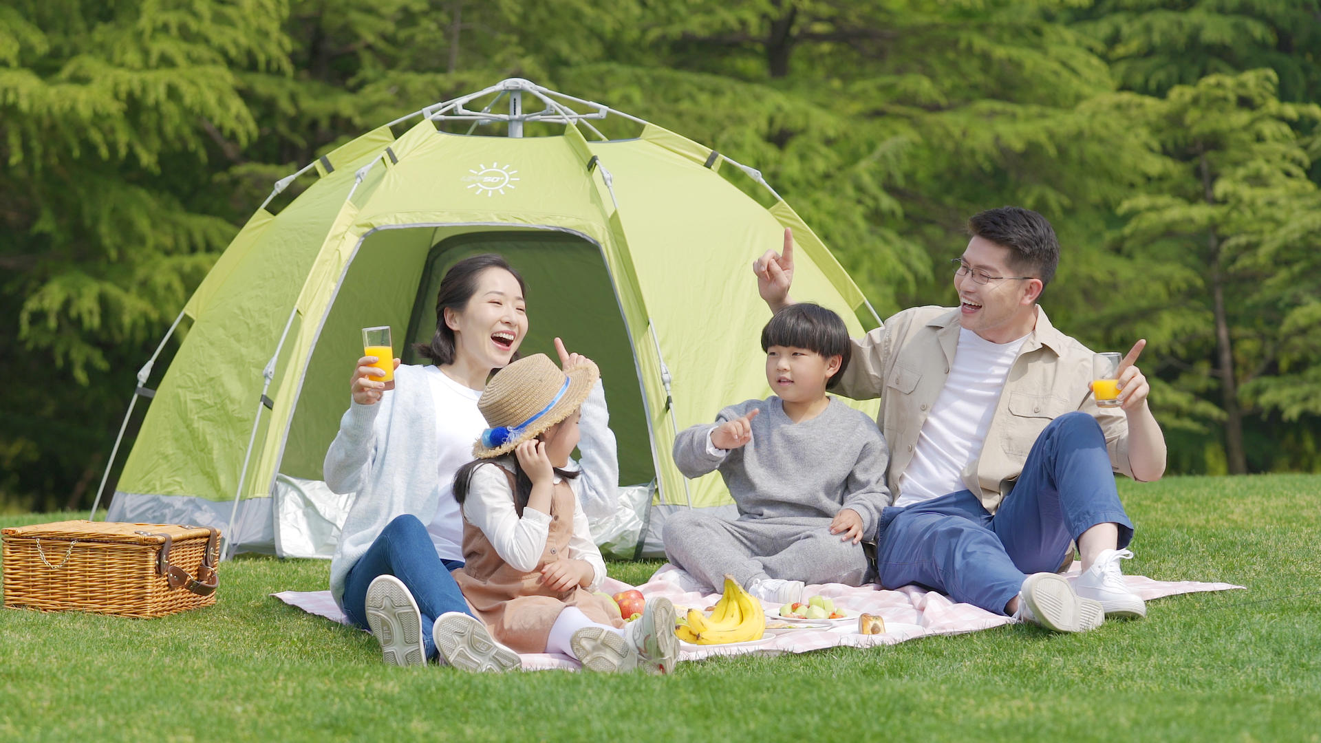 4k夏季出游一家人在森林草坪上野炊吃东西视频的预览图
