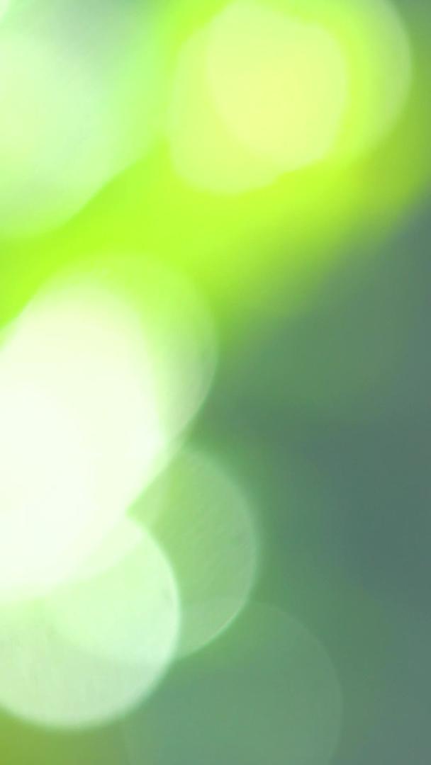 绿色环境光斑阳光柠檬果实视频的预览图