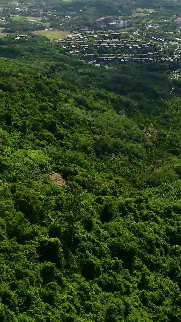 海南阿诺达雨林文化5A旅游区风景视频的预览图