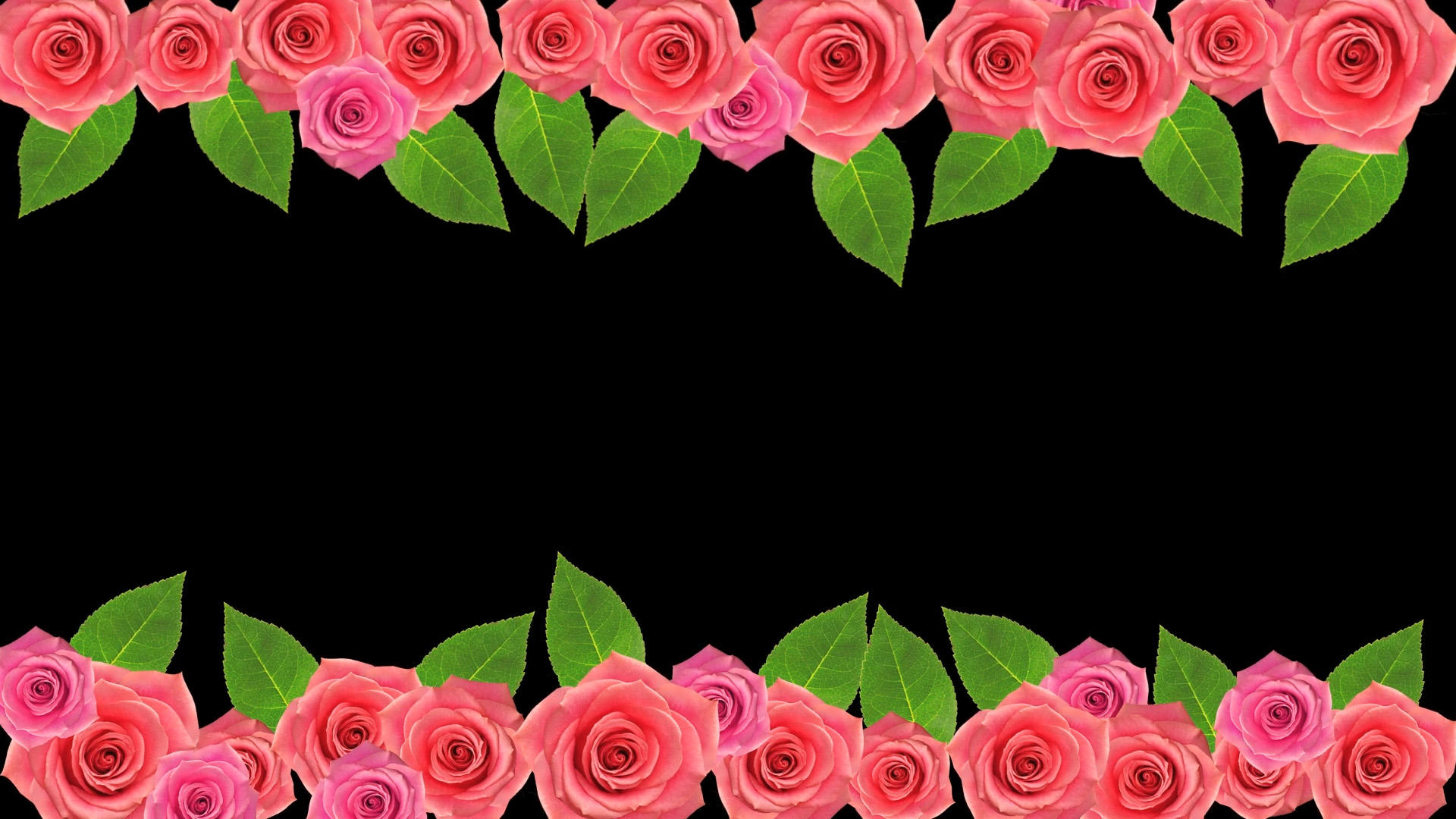 唯美玫瑰边框视频的预览图