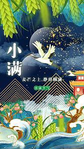 国潮鎏金中国风传统节气小满竖版视频海报视频的预览图