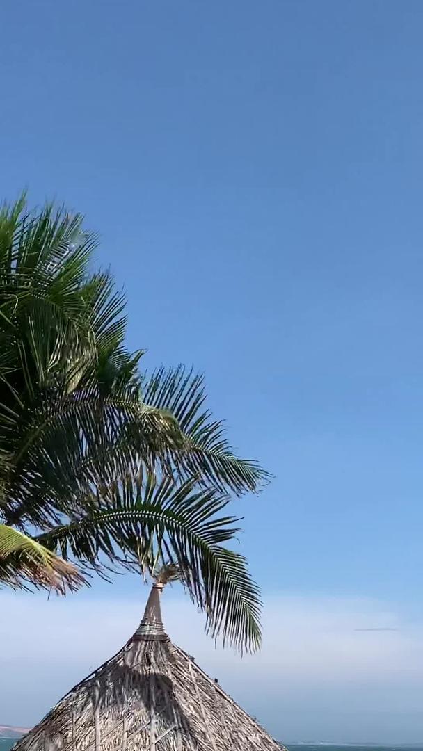 巴厘岛酒店垂直视频视频的预览图