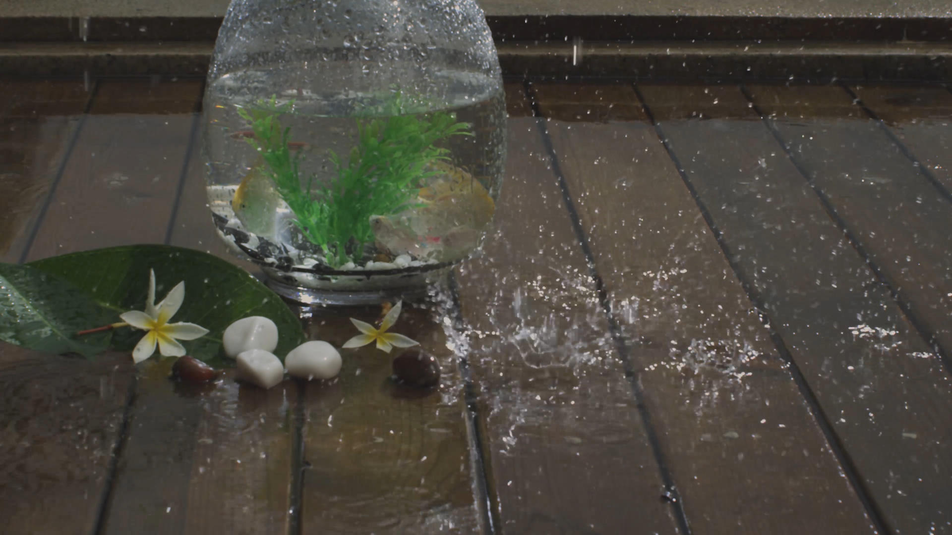 雨水滴4K实拍视频的预览图