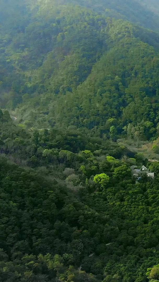 雨后的森林山谷航拍视频的预览图