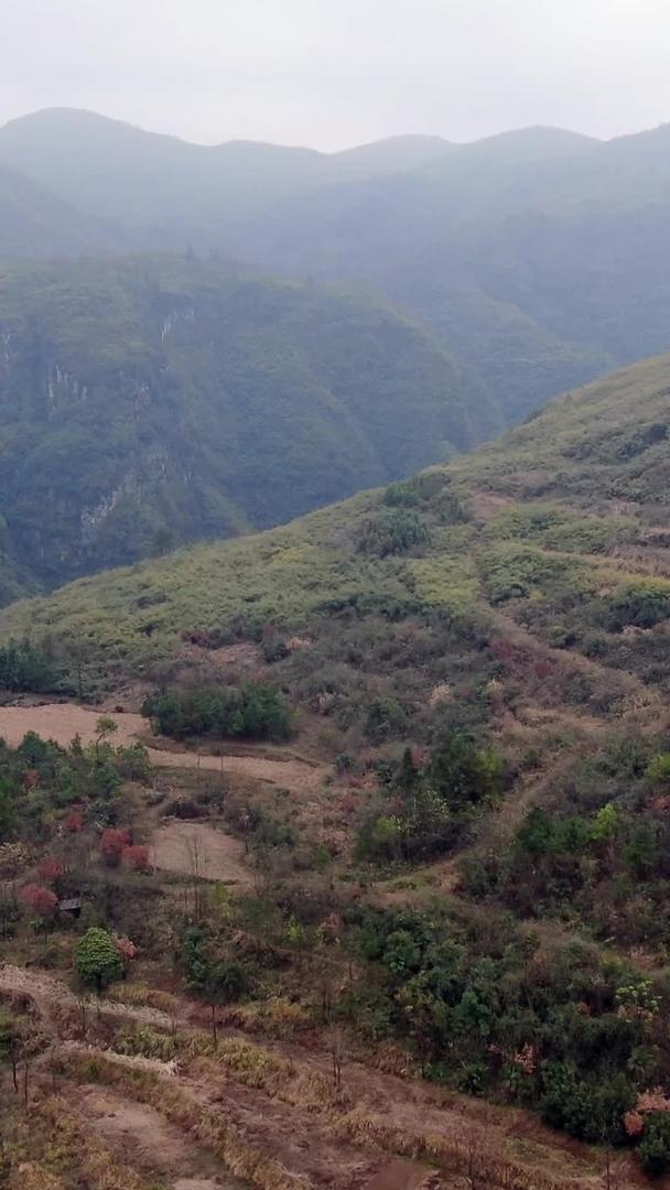 天然大峡谷航怕视频的预览图