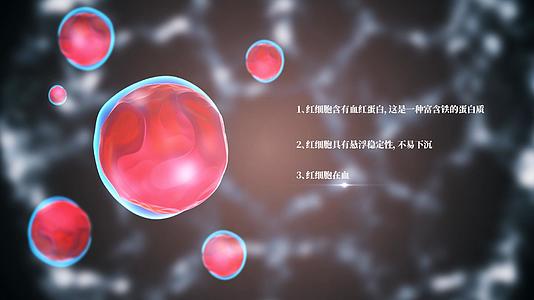 免疫抗疫造血红细胞AE模板4k视频的预览图