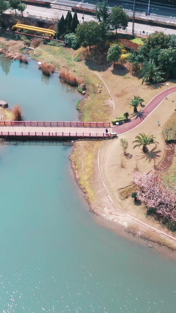 春天的风景上海美兰湖视频的预览图