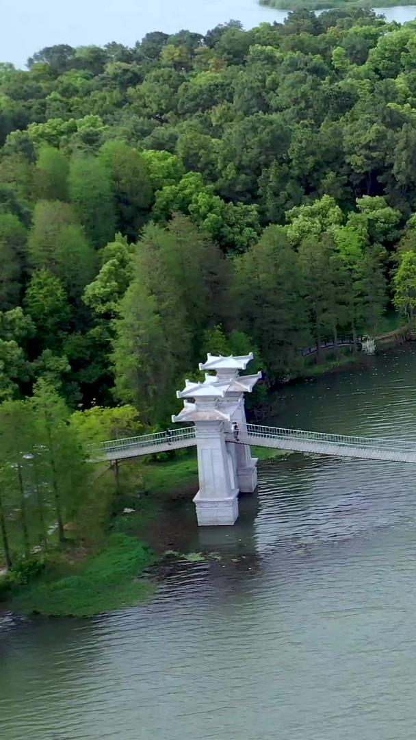 武汉落雁岛吊桥航拍视频的预览图
