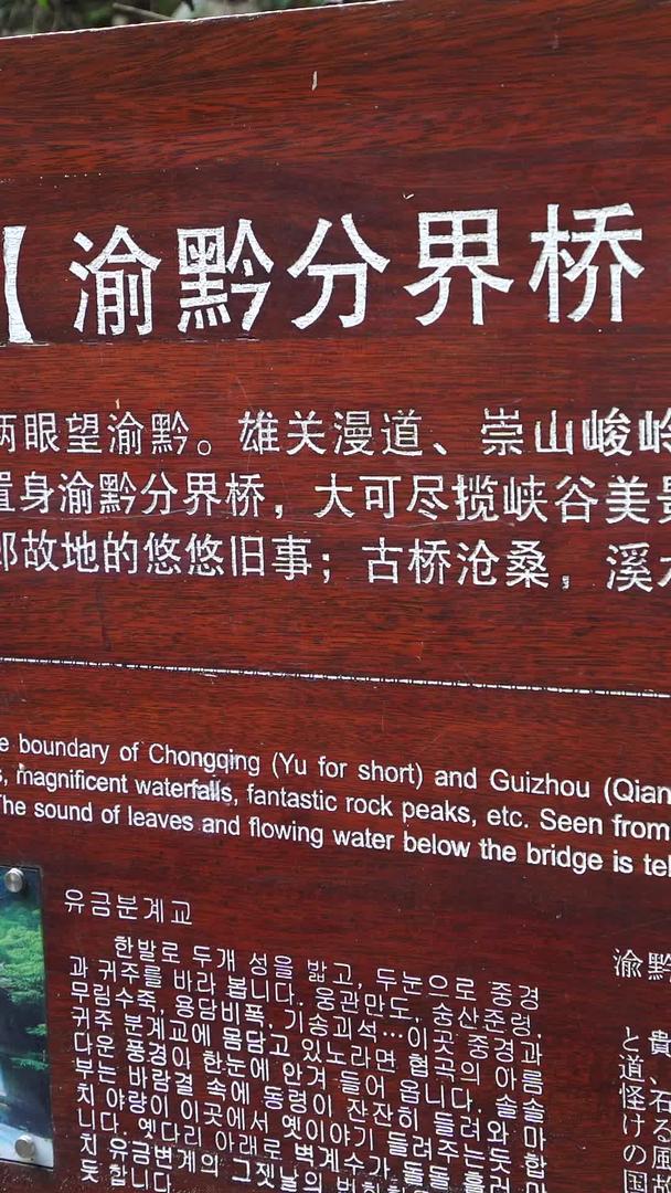 重庆黑山谷渝黔分界桥国家5A级旅游景区视频的预览图