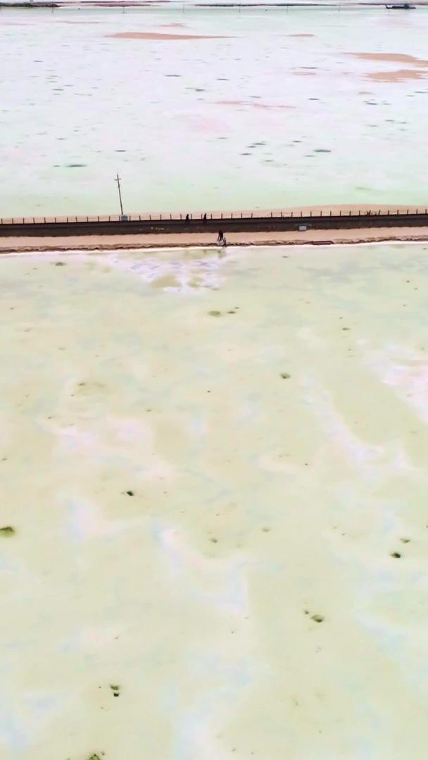 茶卡盐湖视频的预览图