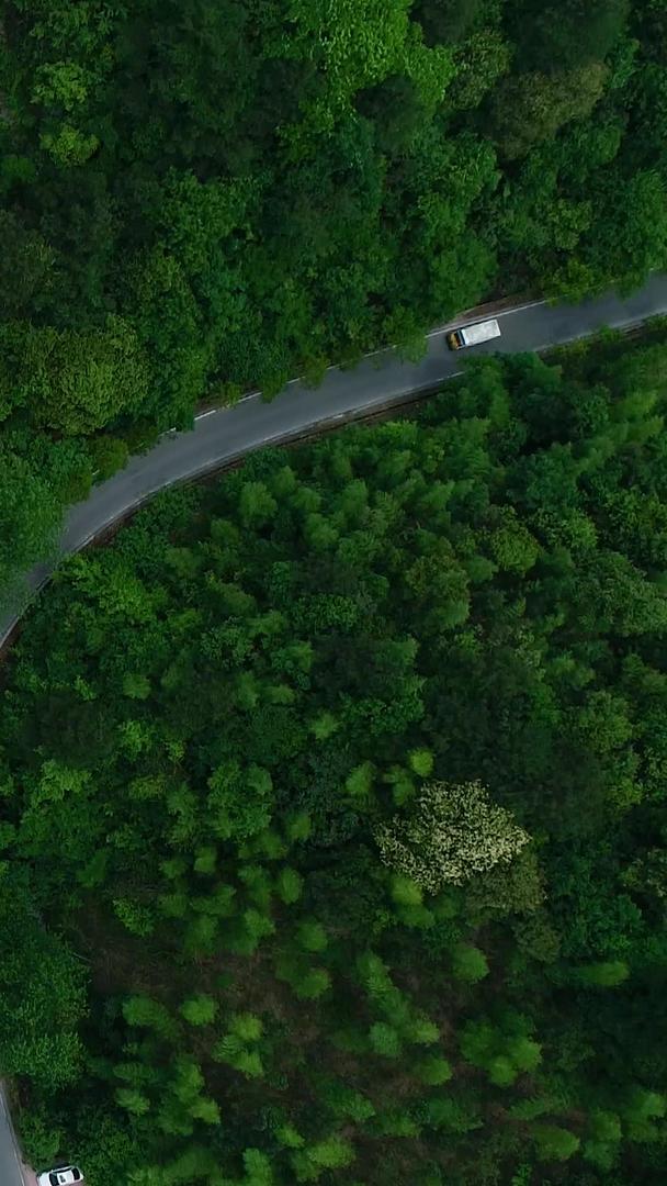 高清航拍森林俯视视频视频的预览图