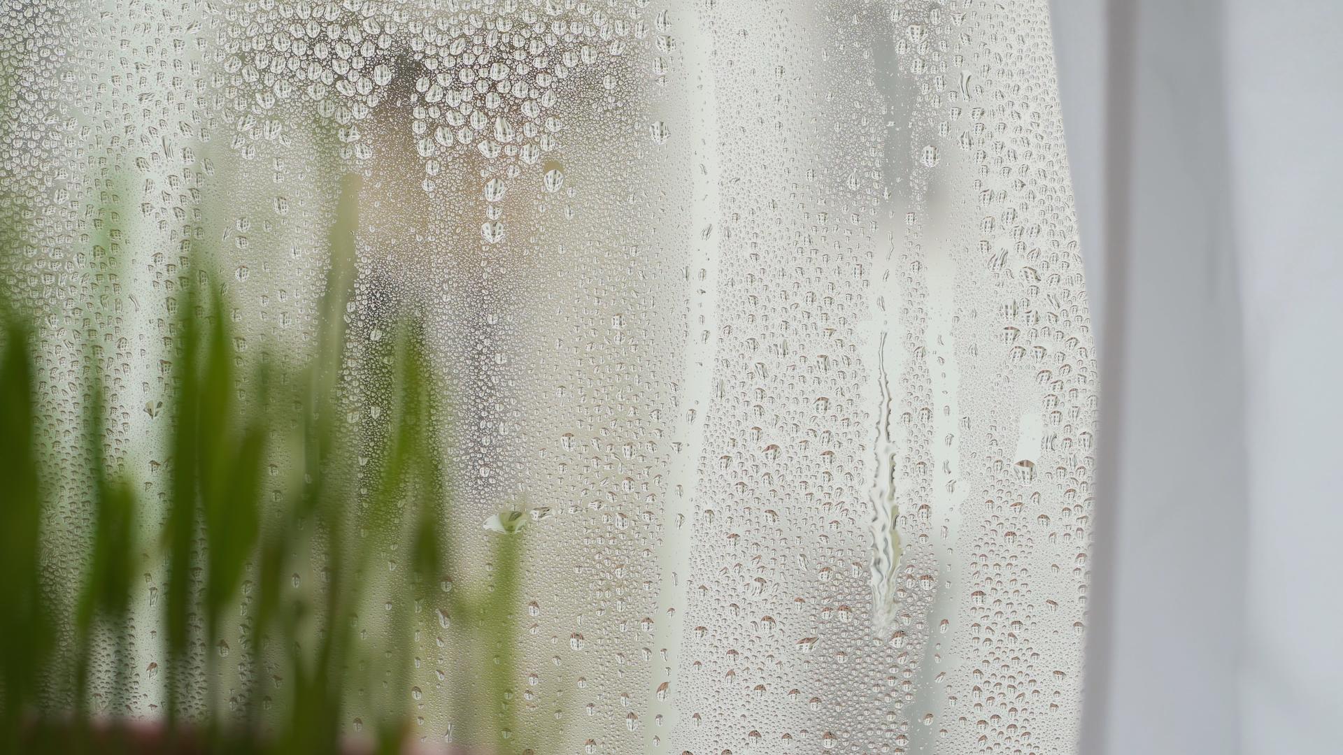 潮湿的室内水珠从窗户上滑落视频的预览图