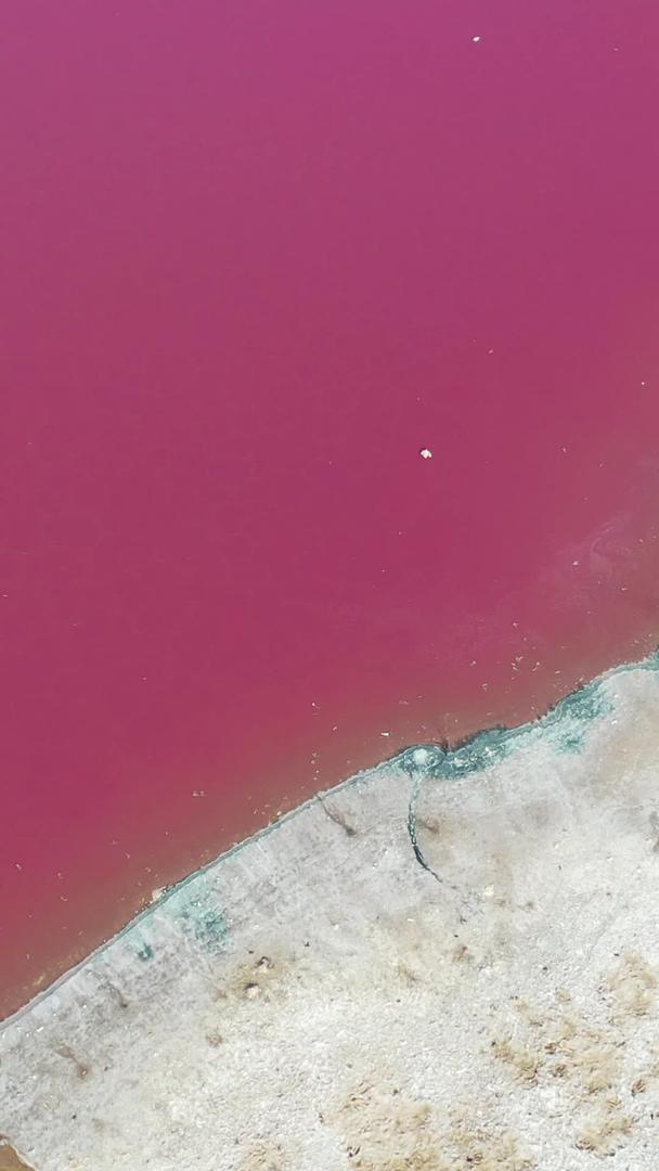 红海子巴丹吉林沙漠达格图视频的预览图