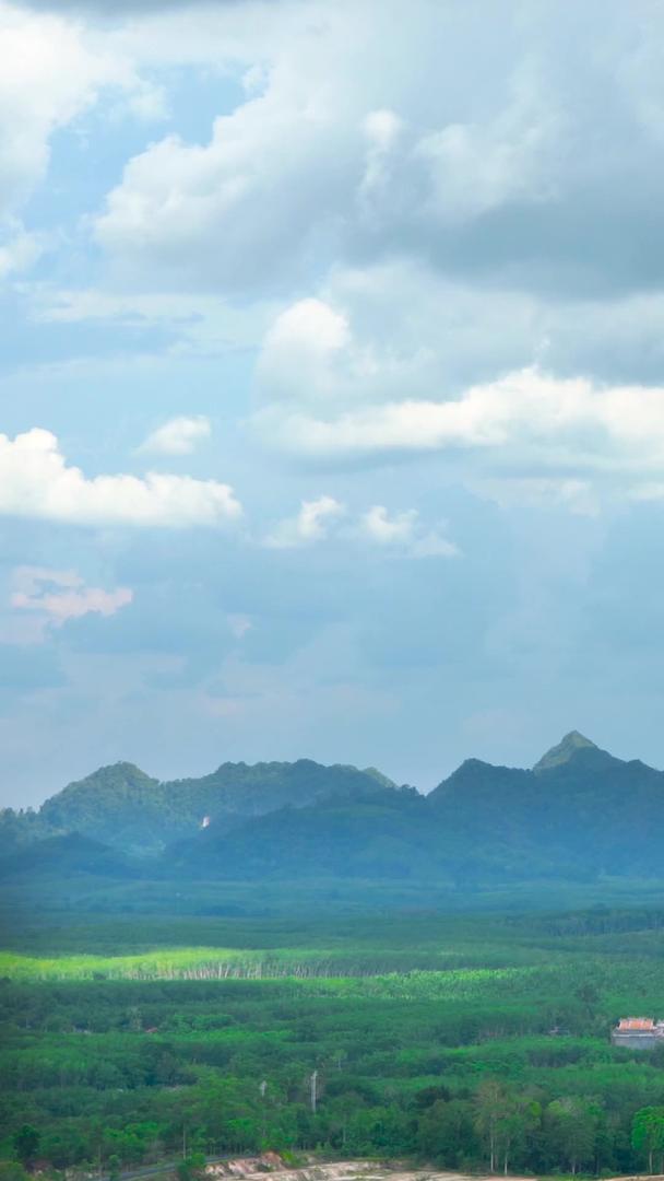 航拍泰国果林树林延迟视频的预览图
