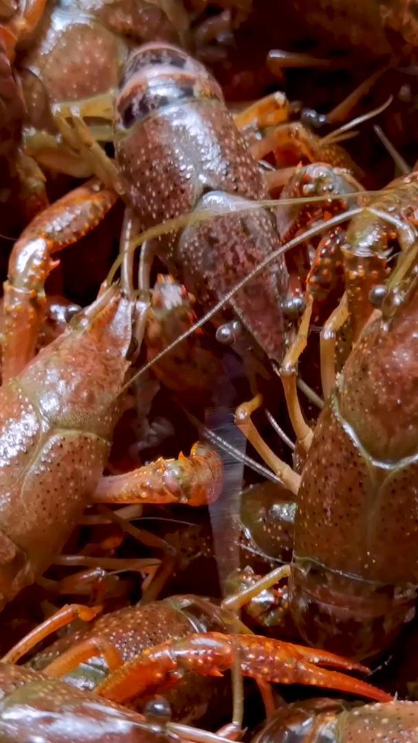 小龙虾将从食材变成美味的小龙虾视频的预览图