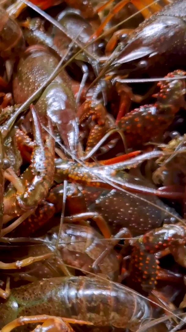 小龙虾将从食材变成美味的小龙虾视频的预览图