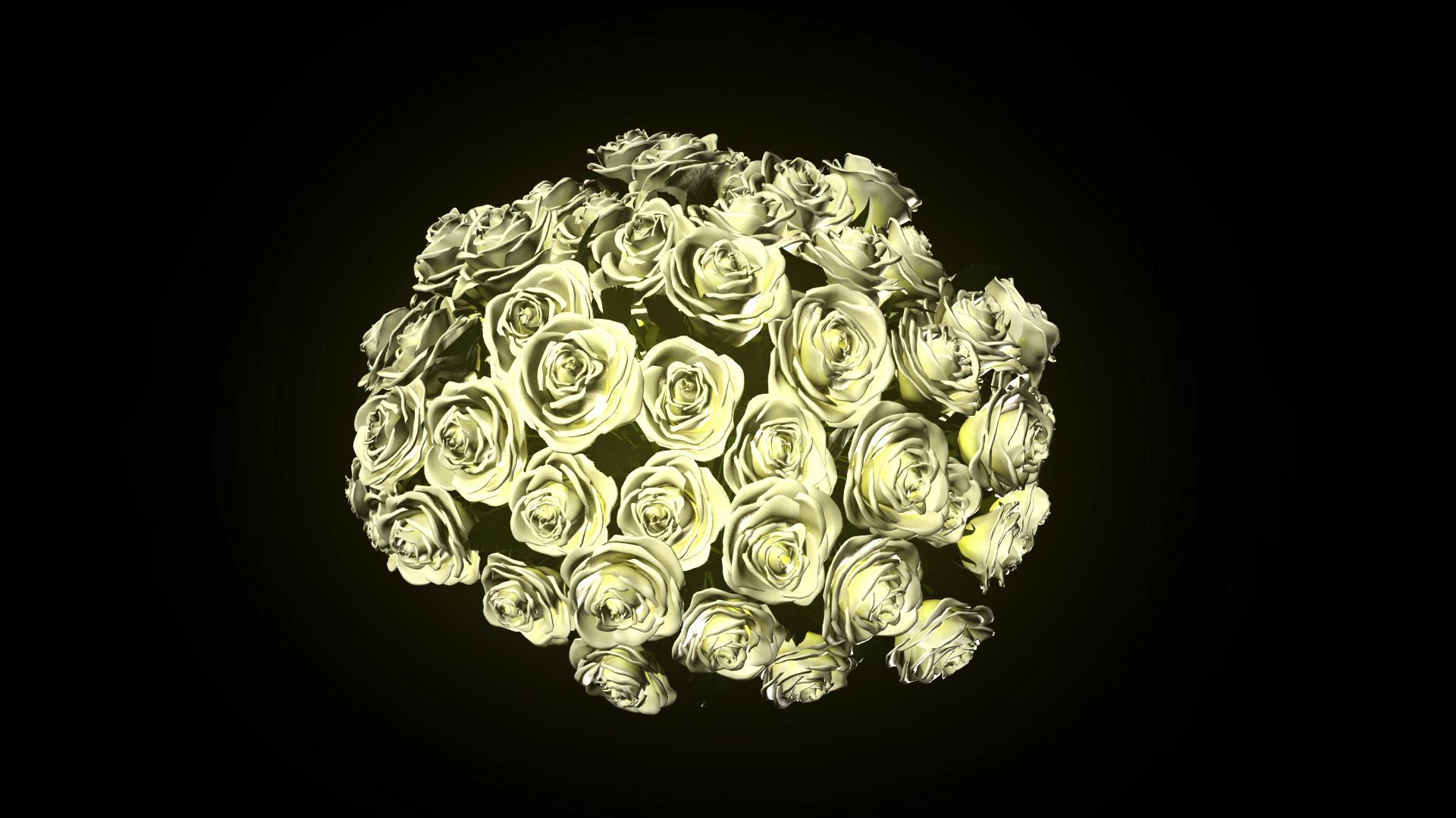 三维白色玫瑰花动画视频的预览图