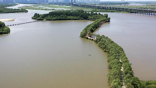 哈尔滨松花江湿地航拍4K视频视频的预览图
