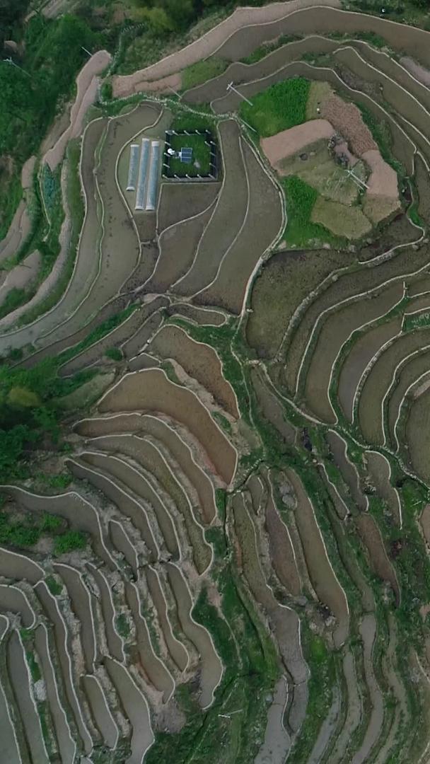 湖南紫鹊界高清航拍国家自然与文化双遗产4A景区月牙山观景台视频的预览图
