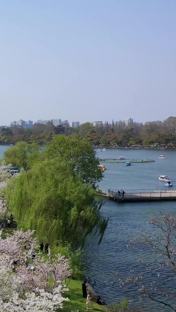 樱花航拍南京玄武湖视频的预览图