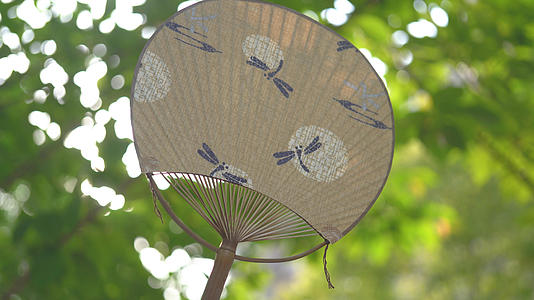 4k夏天午后阳光灿烂风吹动树叶日式扇子视频的预览图