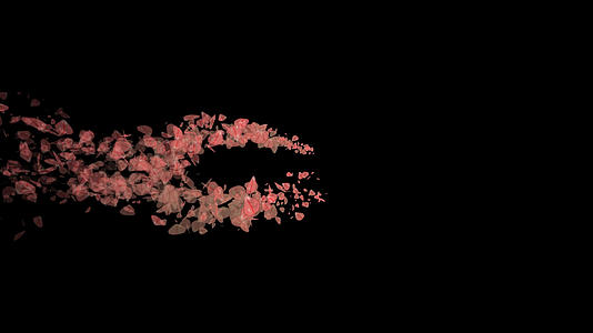 粉红色粒子花瓣素材视频的预览图