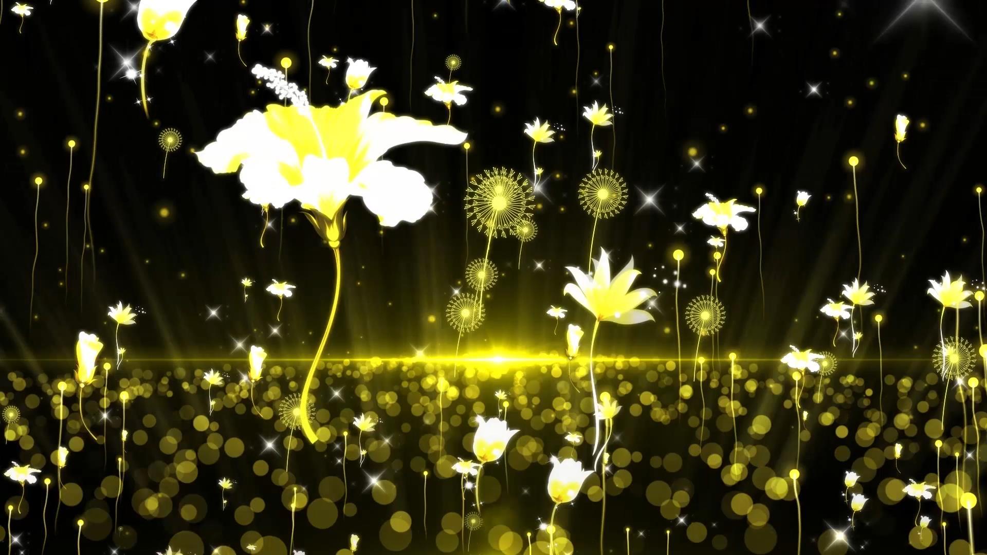 动态唯美金色大气粒子花朵背景元素视频的预览图
