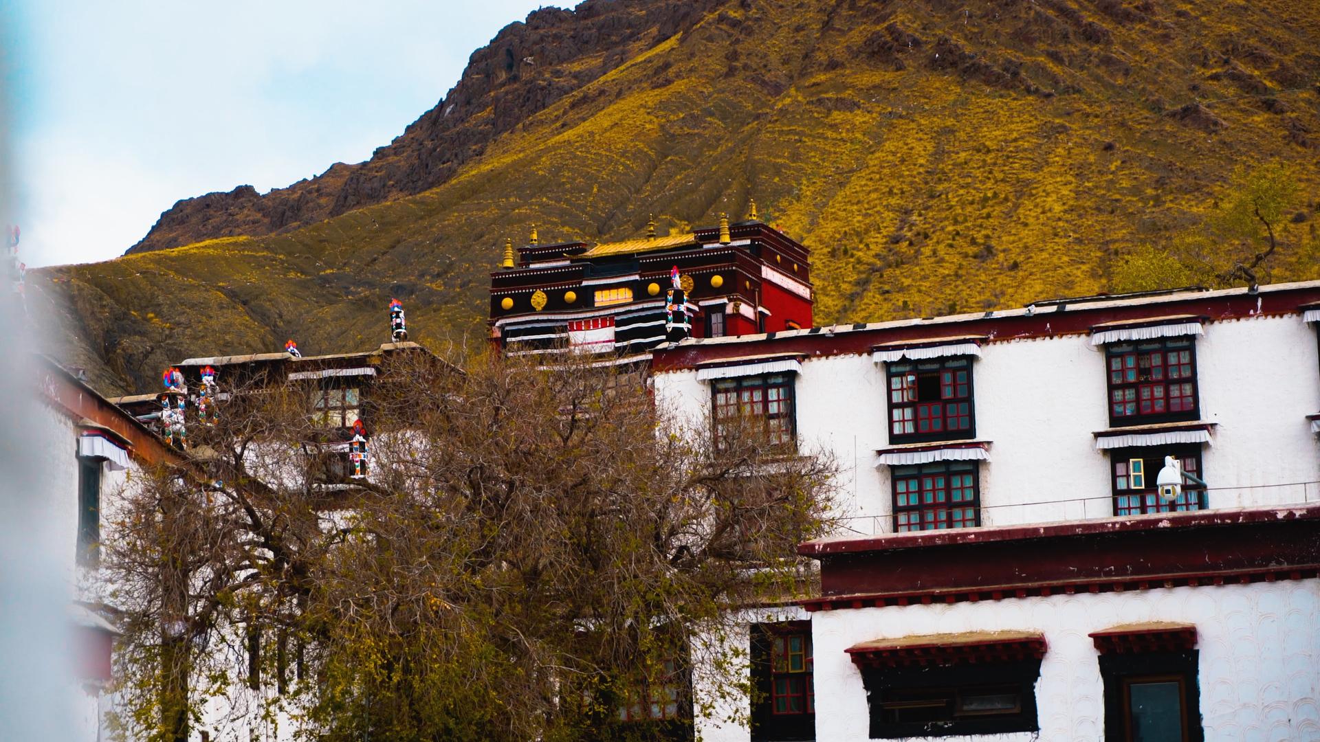 4k西藏5A景区日喀则扎什伦布寺4K视频的预览图