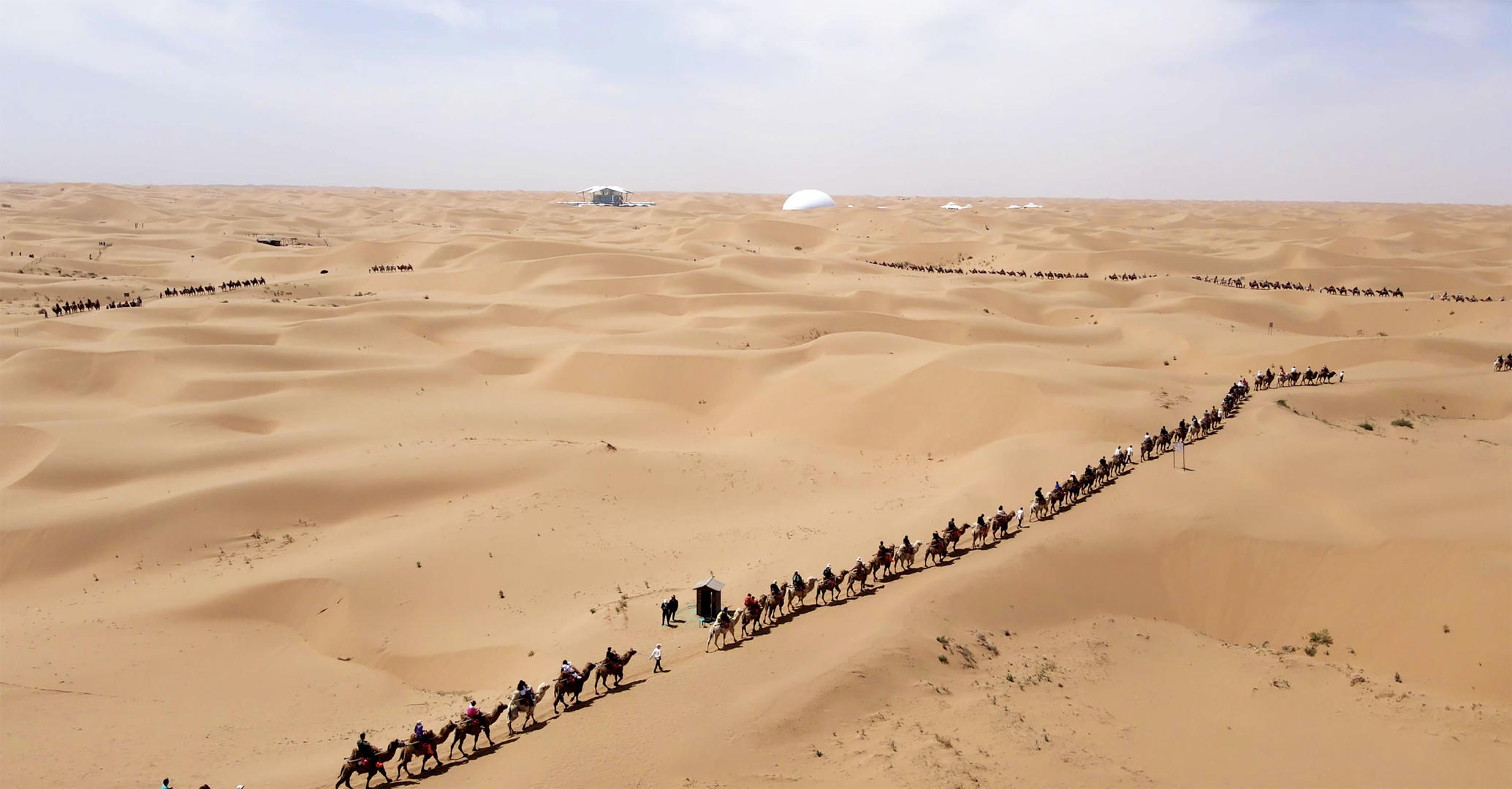 4k航拍宁夏中卫腾格里沙漠骆驼队视频的预览图