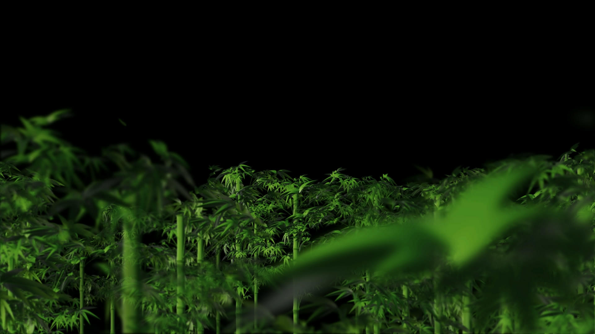 透明通道竹林动画素材视频的预览图
