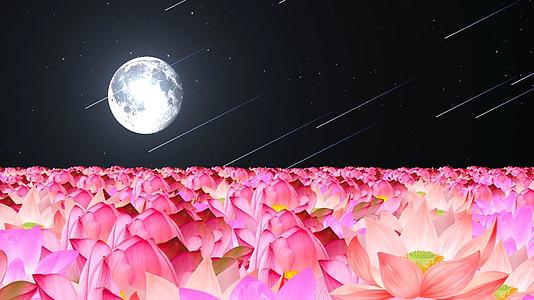 唯美夜色荷花花海动态粒子流星背景视频素材视频的预览图