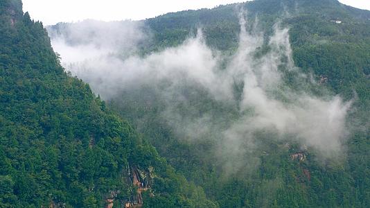 4K实拍云雾缭绕的大山森林视频视频的预览图