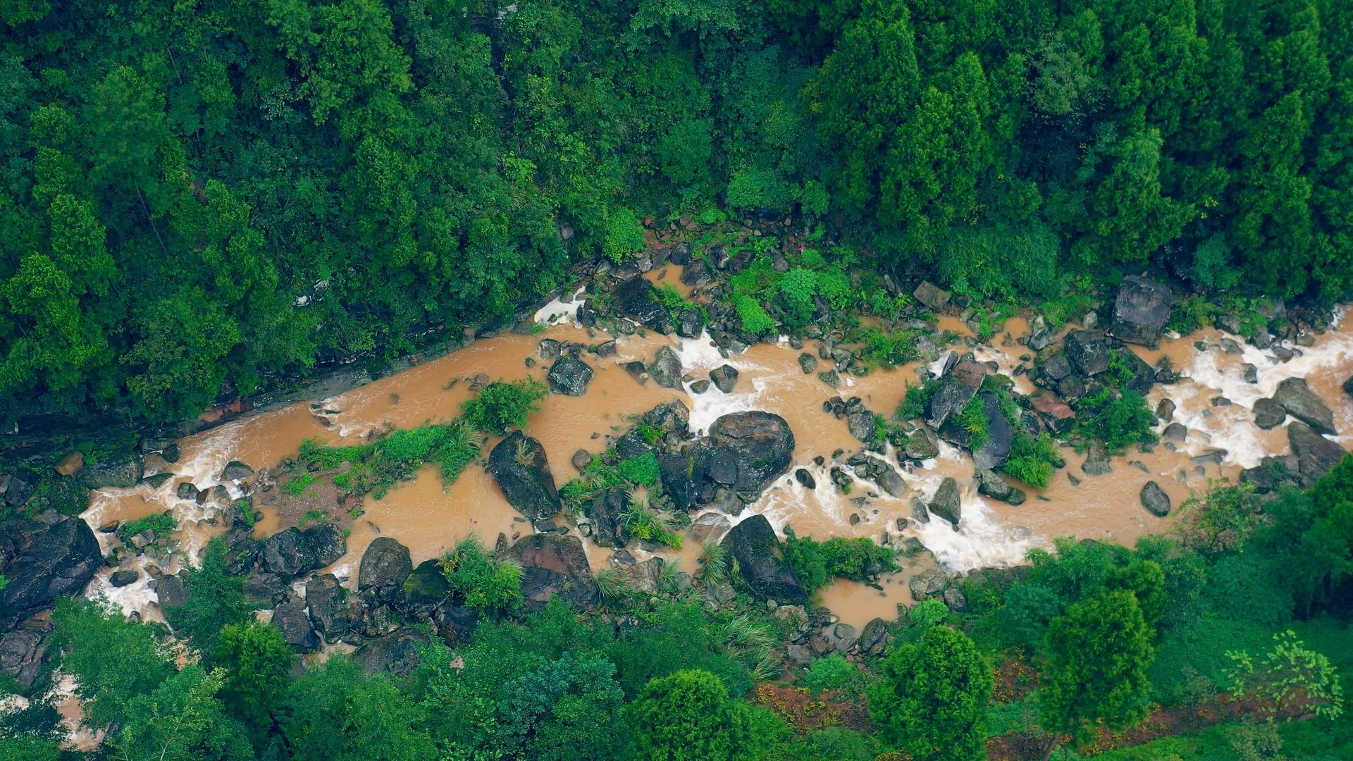 4K航拍雨后森林中的河流视频素材视频的预览图