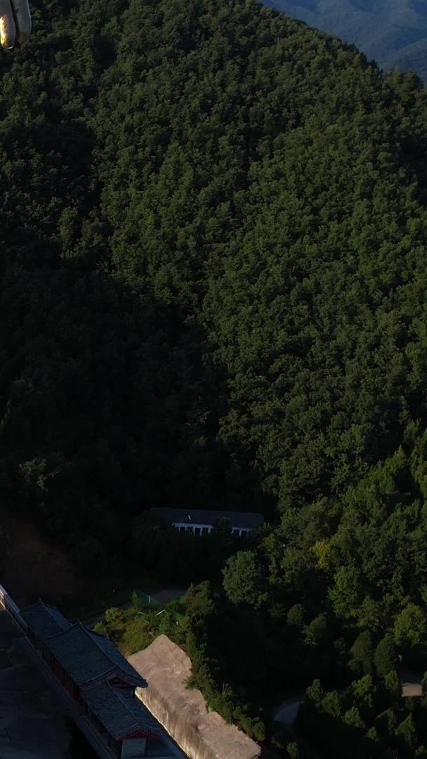 航拍5A平顶山中原大佛景区大佛雕像视频视频的预览图